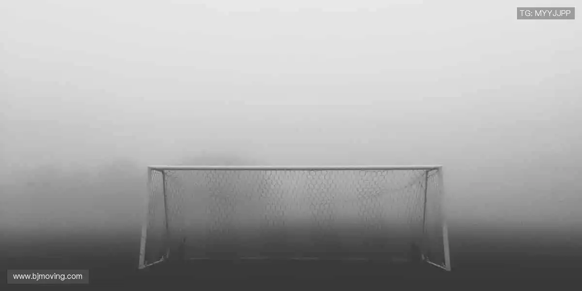 🎥多屏互动,实时弹幕,让观赛更有温度!